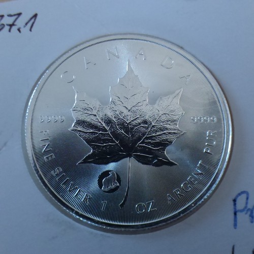 Canada maple leaf 2024 - canada,