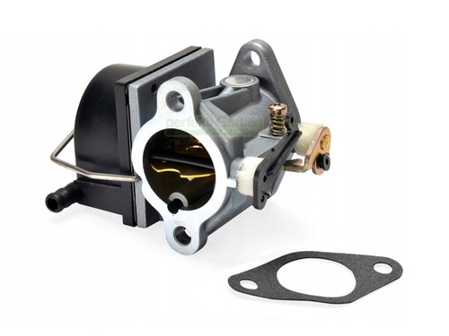 Carburateur tecumseh ohv110 - carburateur,