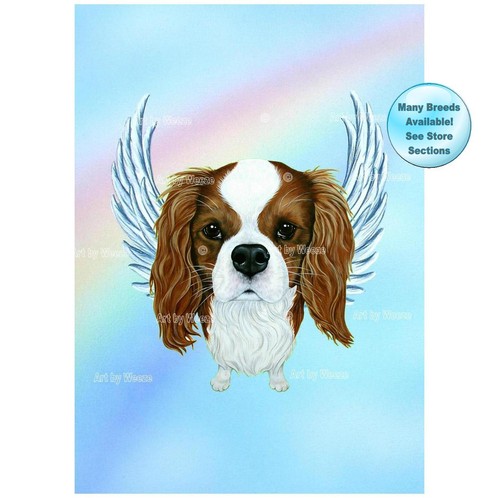 Cavalier king charles spaniel - cavalier,