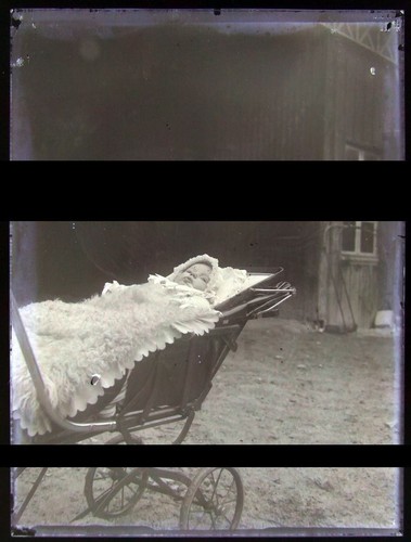 Photo negative glass plate - negative,