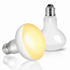 Lot de 2 Ampoule Chauffante