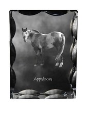 Appaloosa cadre en cristal avec un cheval Art-Dog