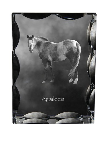 Appaloosa cadre cristal - cadre, en