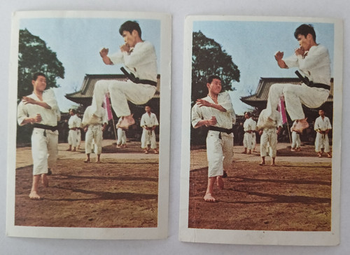 Karate 1967 chocolat - 2,