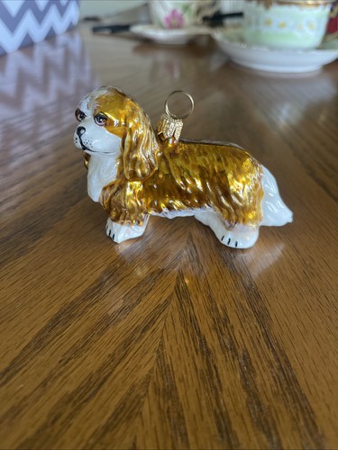 Cavalier king charles - charles, spaniel