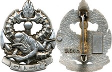 DIVER GROUP, SILVER, COLLECTORS PRINT, GIGN C