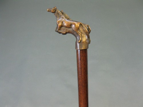 Noble canne marche bois - noble,