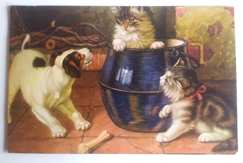 Carte postale ancienne chats - carte,