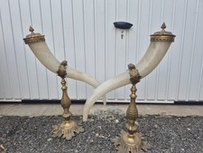 Grande paire de cornes