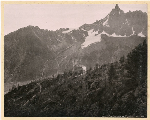 France montanvert aiguille - et,