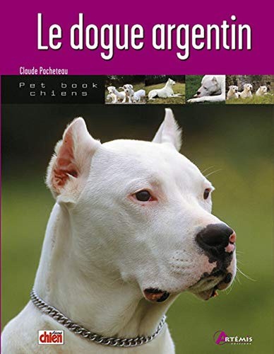 Dogue argentin pacheteau - argentin, |
