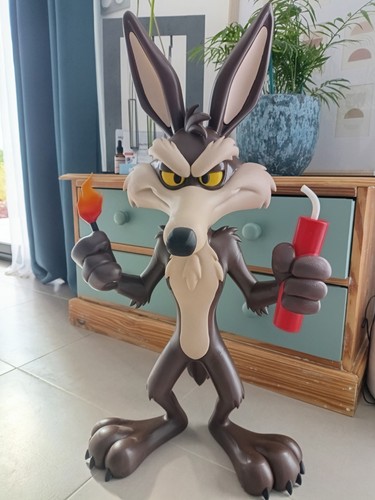 Wile coyote des - le, looney