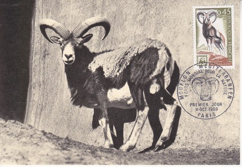 Carte 1er jour - , le