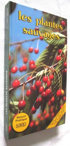 Les plantes sauvages - les,