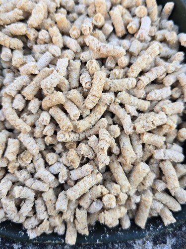 Pellets carpe pain - 5, kg