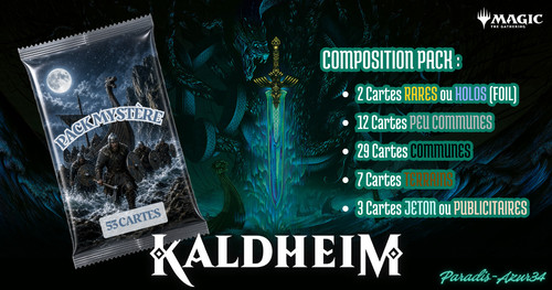 Mtg lot mystère - 🎴,