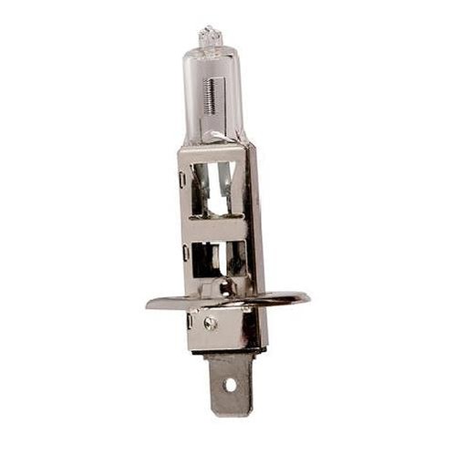 Ampoule 12v 100w 3000k - 12v,