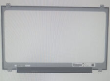 Dalle écran N173HCE-N31 17.3