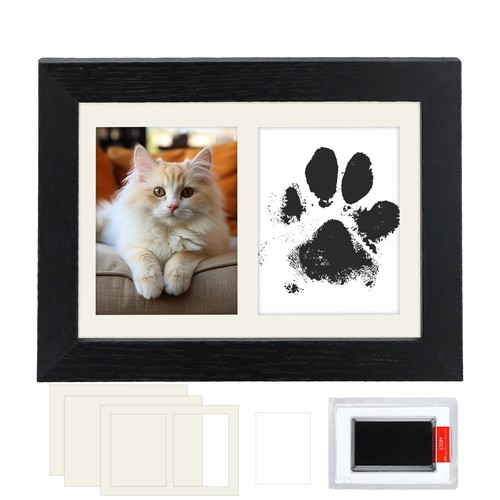 Kit empreinte chien chat - kit,