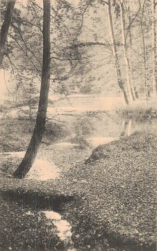 Belgique boitsfort foret - foret, de