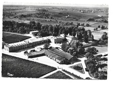 33  PAUILLAC  VUE AERIENNE  CHATEAU LAFITE ROTSCHILD