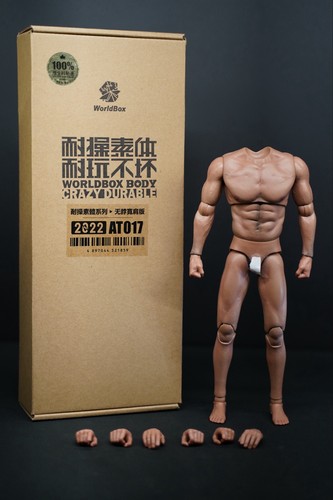 Worldbox at017 muscular - worldbox,