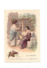 LILLE (59) CHICORY CHROME IMAGE BEAUTIFUL BERIOT GARDENER / GRIVES breeding