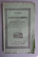 Assainissement plaine du