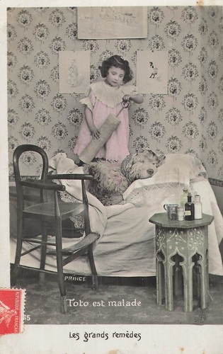 Toto est malade petite - toto,