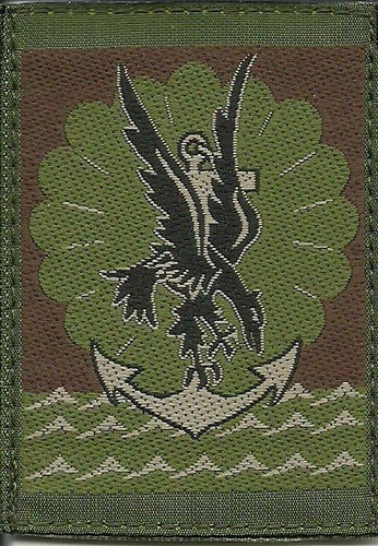 Insigne tissu patch militaire - patch,