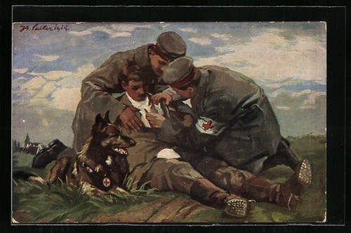 Carte postale chien - carte,
