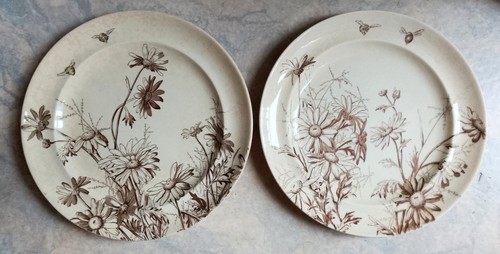 Ancienne paire assiettes
