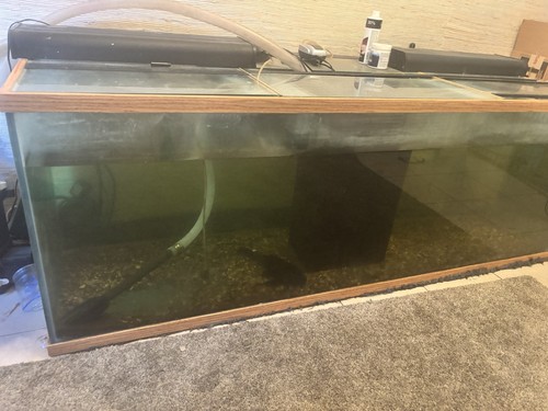 250 gallon aquarium - 250,