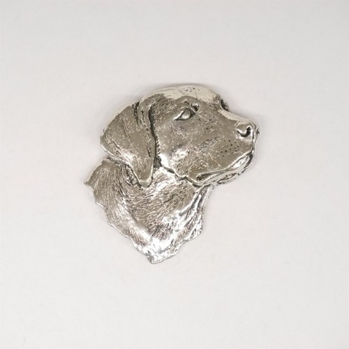 Labrador tête épingle - tête,