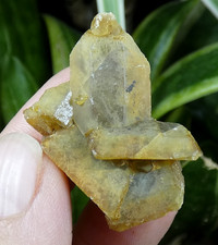 Baryte Miel Côte d'Abot