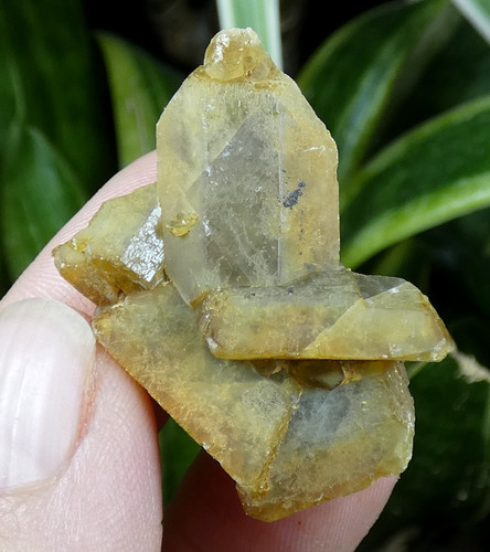 Baryte miel côte abot - baryte,