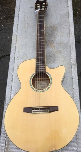 Guitare electro ibanez - guitare,
