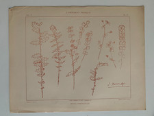 J.HABERT-DYS PLANCHE