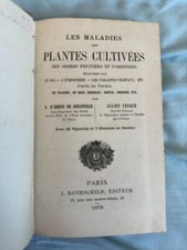 Les maladies des plantes