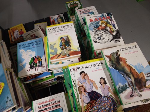 Lot livres bibliothèque - livres,