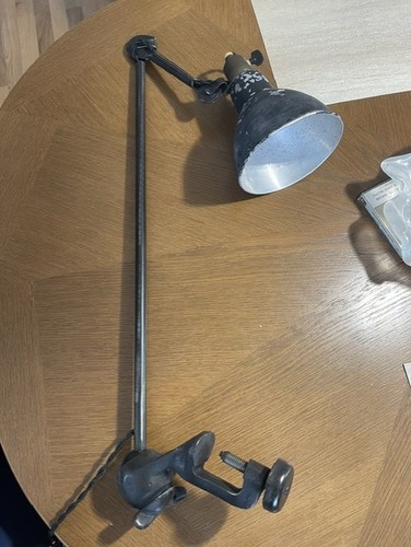 Lampe albin gras - gras, le