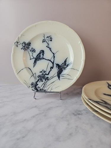 Assiettes plates service - assiettes,
