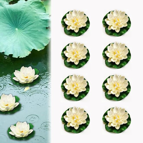 Fleur mousse lotus - fleur, de