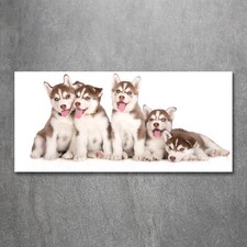Tulup Image Sur Verre