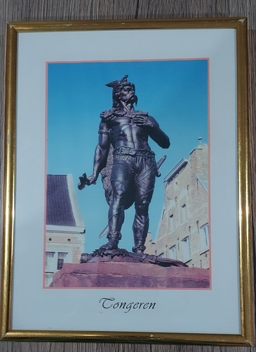 Image sur cadre chef gaulois - cadre,