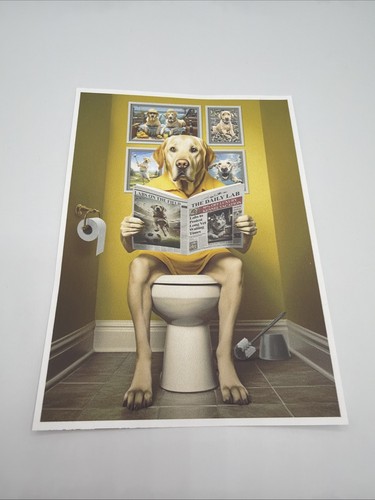 Affiche chien labrador - chien,