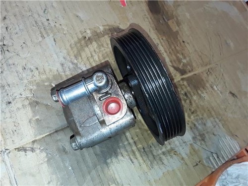 7613955137 pompe direction - ,