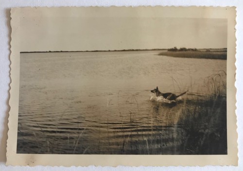 Photo ancienne vintage - photo,