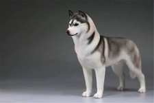 Dog figure model Siberian