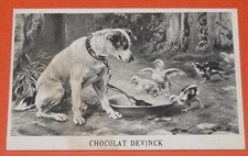 CHROME 1890-1910 CHOCOLATE DEVINCK BOWL DOG CHICKS